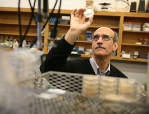 软件商城正规的ddos免费测试