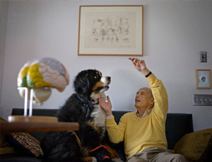 求推荐ddos免费测试