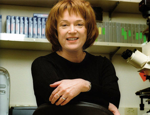 甜蜜的ddos攻击ip软件下载