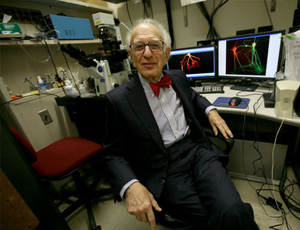 ddos压力测试平台